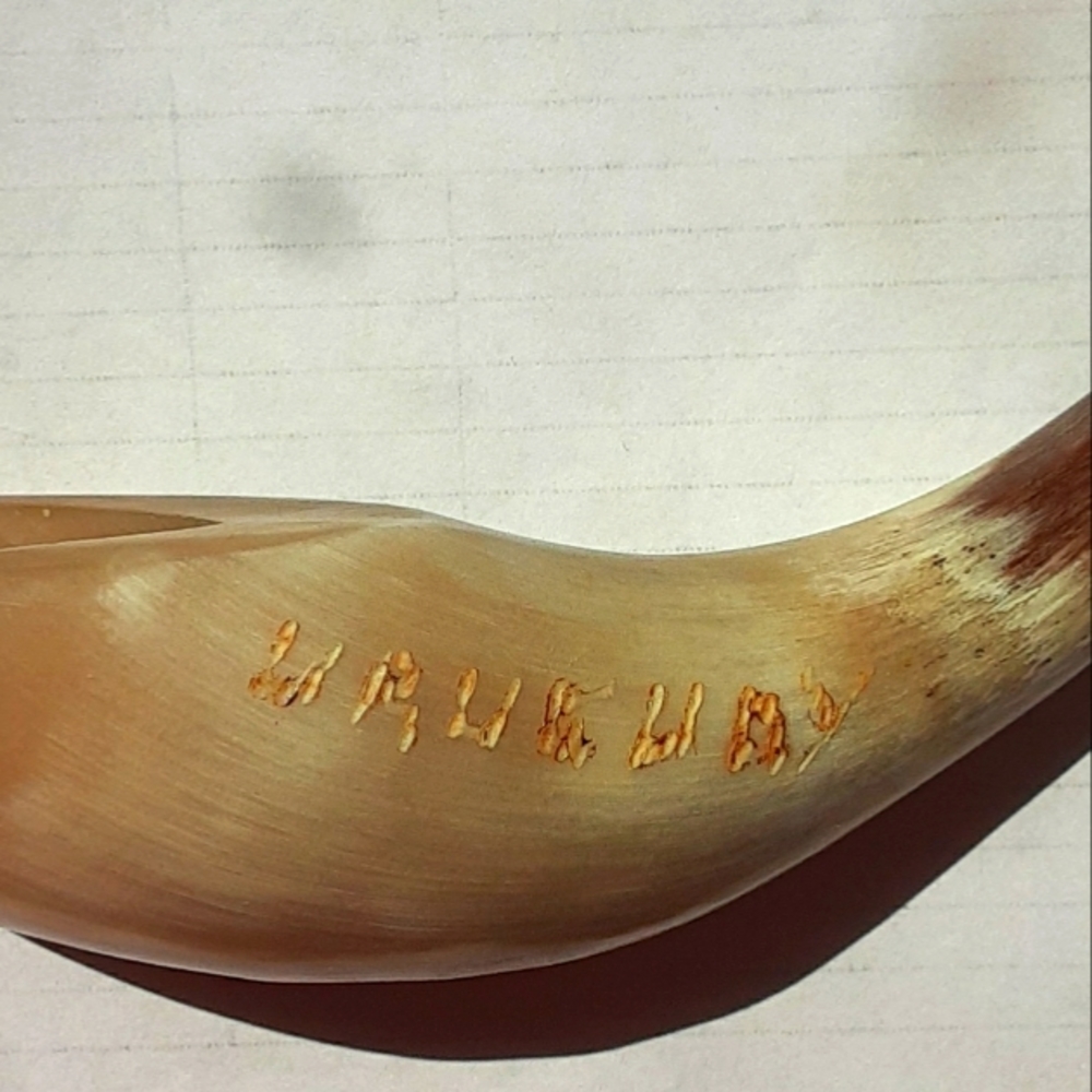 Horn engraved Uraguay